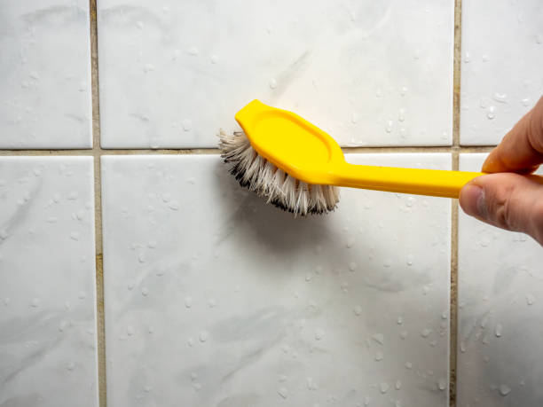 Best Localized Mold Remediation (e.g., coastal areas, humid climates) in Baileyton, AL